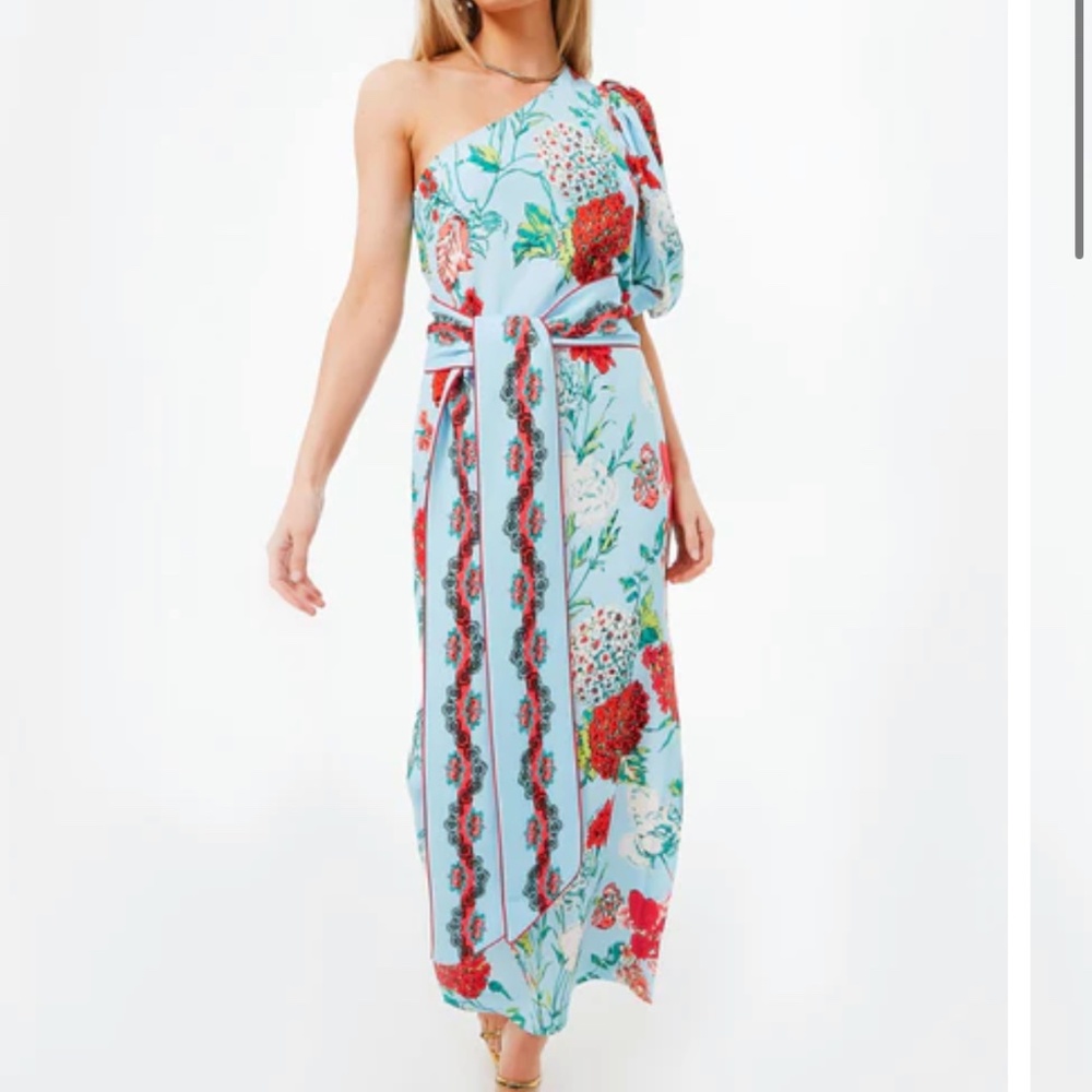 Cara Cara Lucia Floral One Shoulder Maxi Dress Size Large